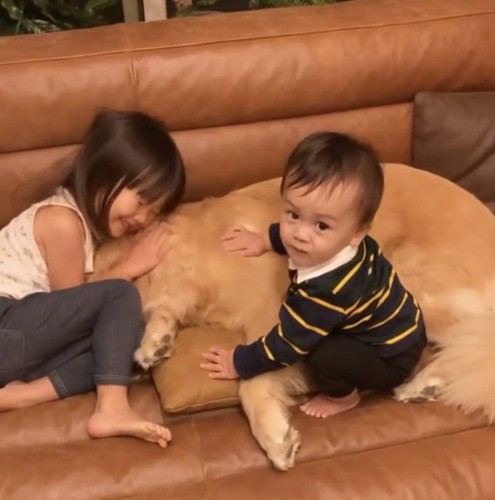 ソファでくつろぐ犬と子どもたち