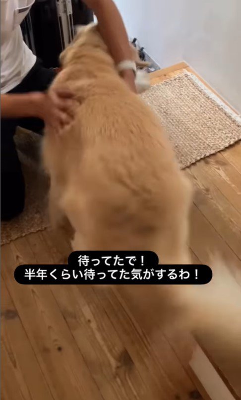 エマちゃんとパパさんの再会6