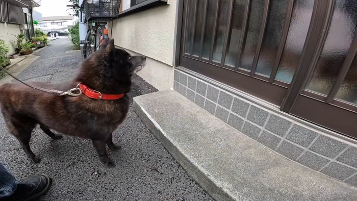 ドアの前で大人しく待機