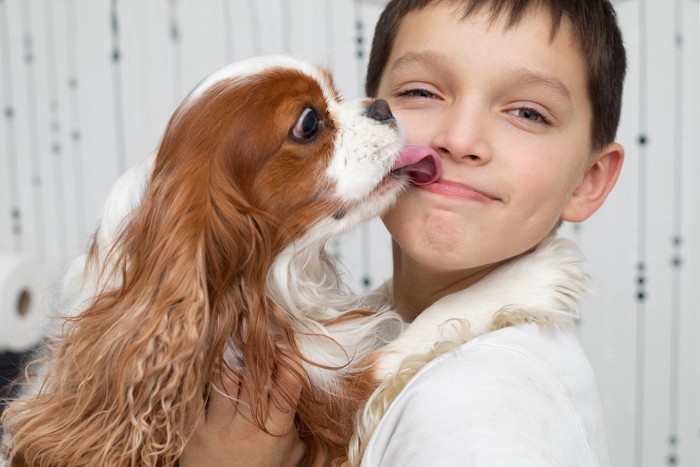 犬に口元を舐められる少年