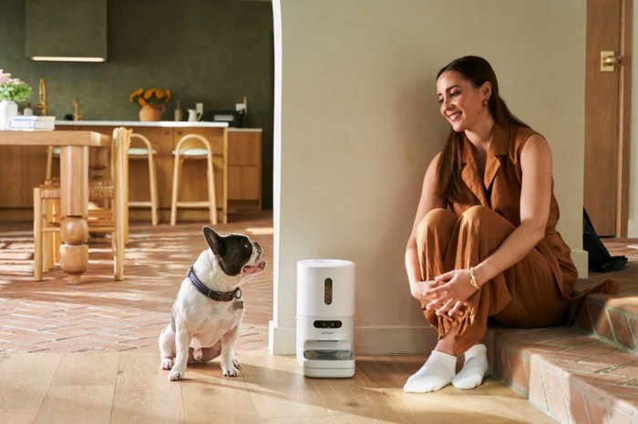 整える期間イメージ