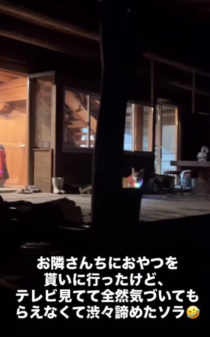 「オヤツ欲しかったな…」