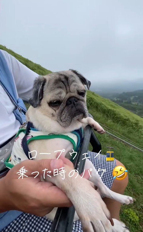 リフトに乗るデビちゃん4