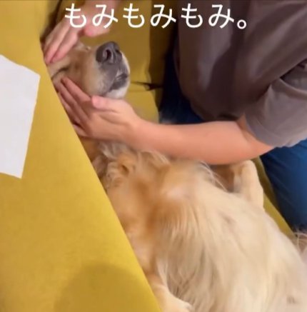 もみもみ