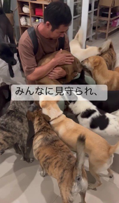 兄弟犬たちも協力的！