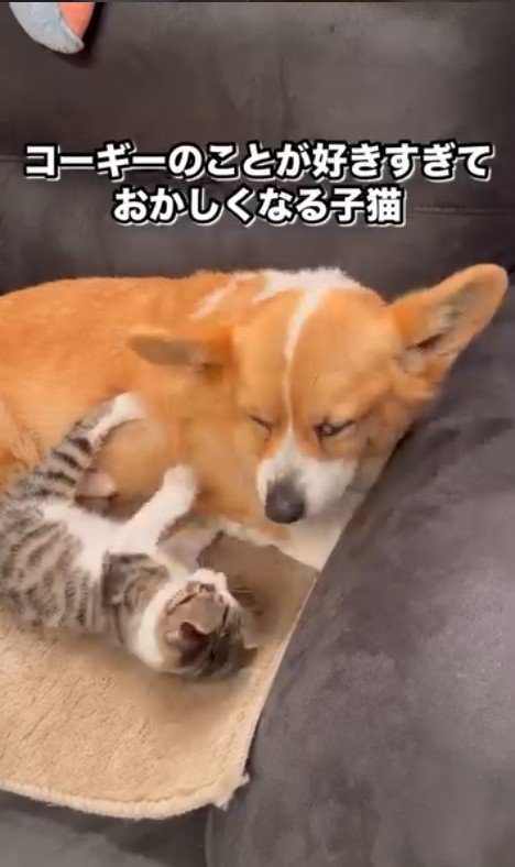 「今は寝かせてよ…」