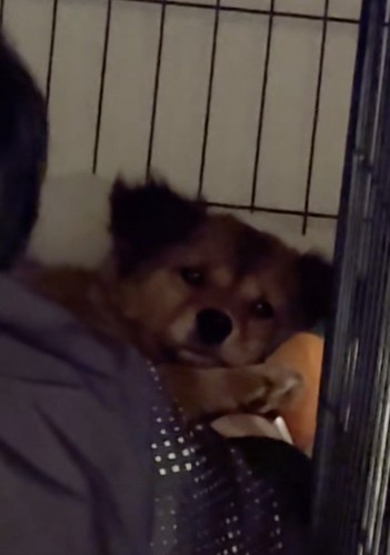 追いやられてる