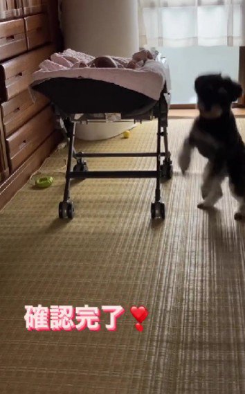 「よし、大丈夫！」