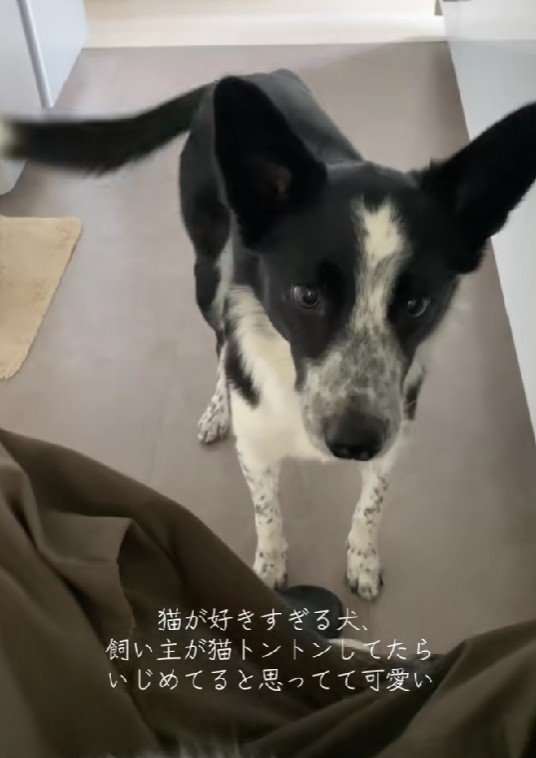 「いじめないでね！！」