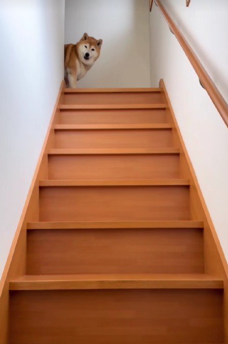 お兄ちゃんが帰宅すると…