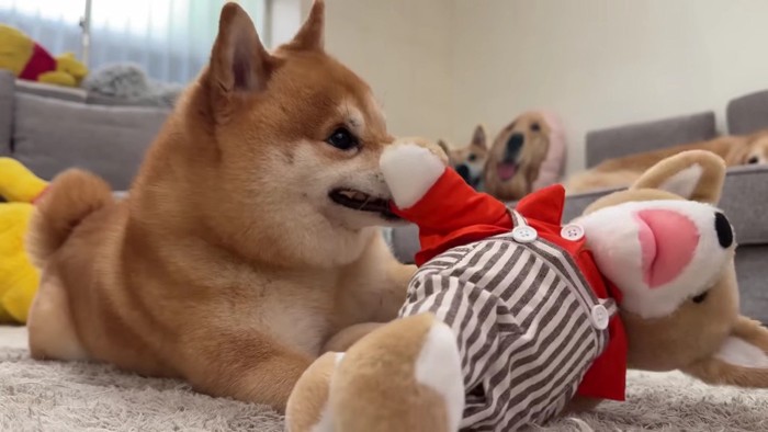 「まだダメ!」