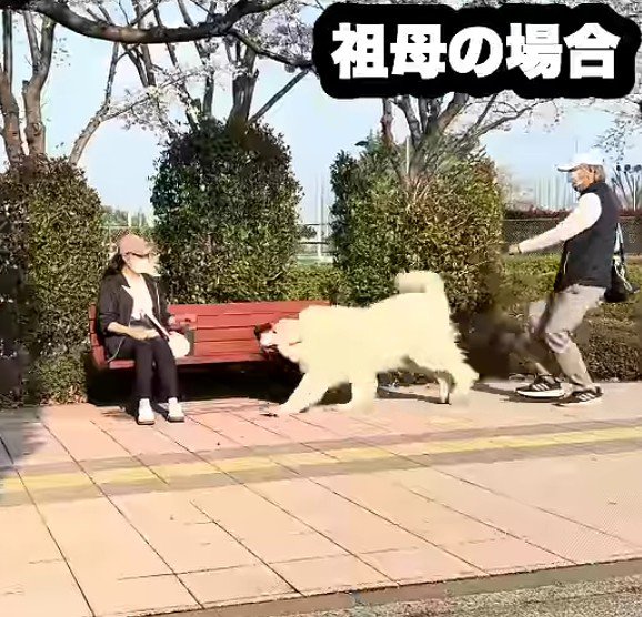 ニコニコで駆け寄る