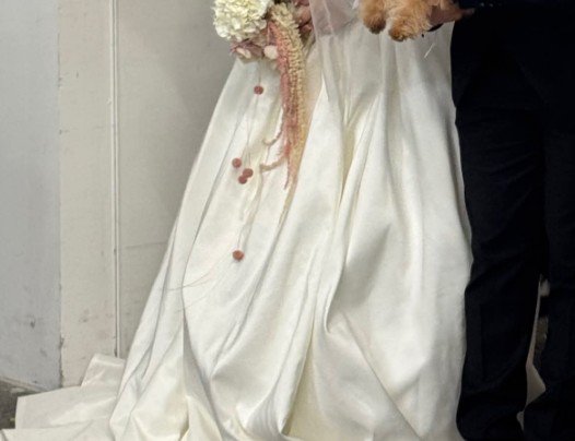 愛犬との結婚式