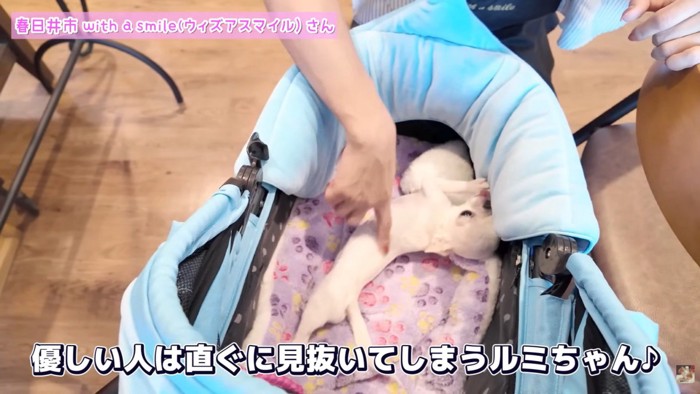 体をピーン♪