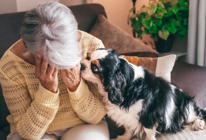 頭を抱える男性と犬