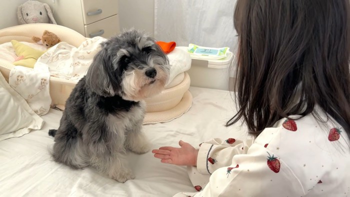 長女ちゃんとジジちゃん
