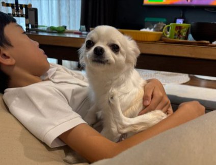 大好き
