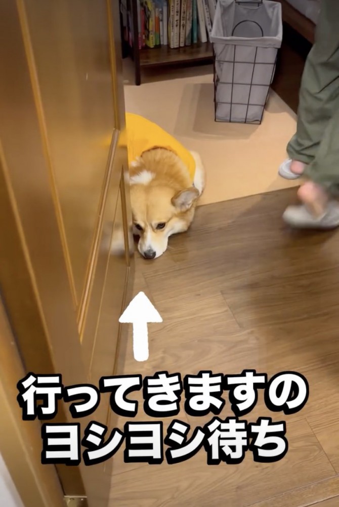 ふてくされてる…