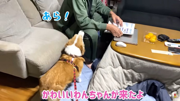 おじいちゃんとはなちゃん