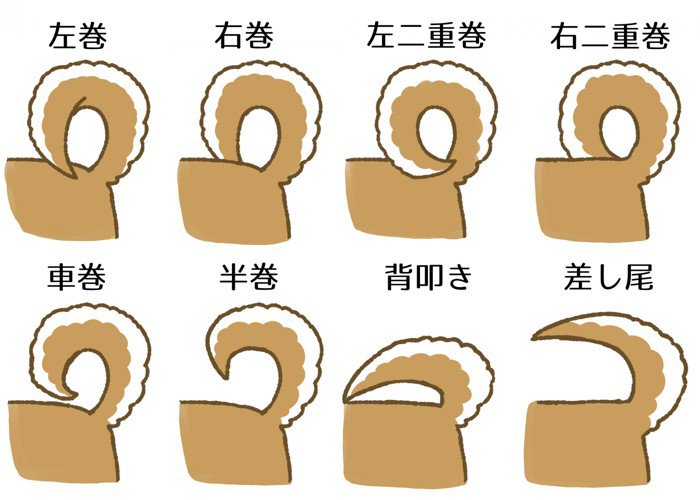 しっぽの種類その1