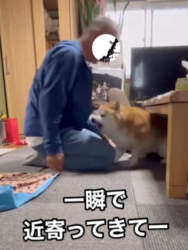 犬が素早く飛び出す瞬間