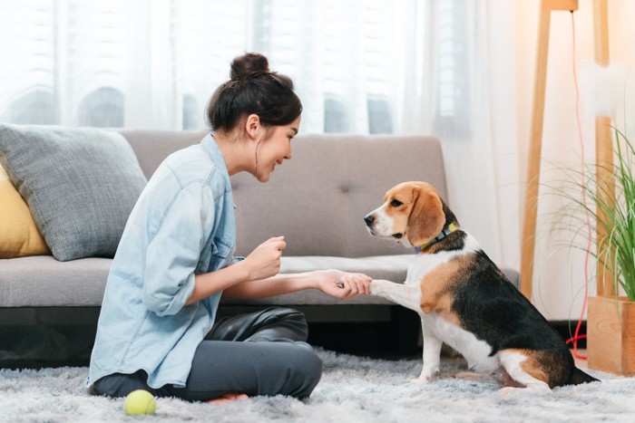 室内で遊ぶ女性と犬