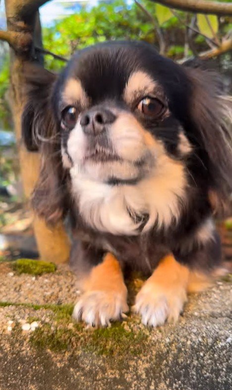 まる君とお姉ちゃんの再会3