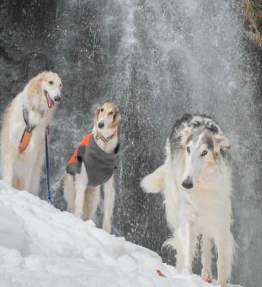 どこで撮影しても…