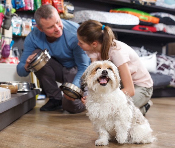 犬用グッズを選ぶ人と犬