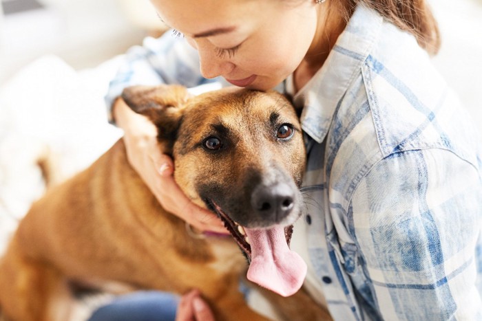 女性にハグされている犬