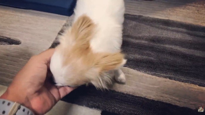 ちゃんと来てくれました!