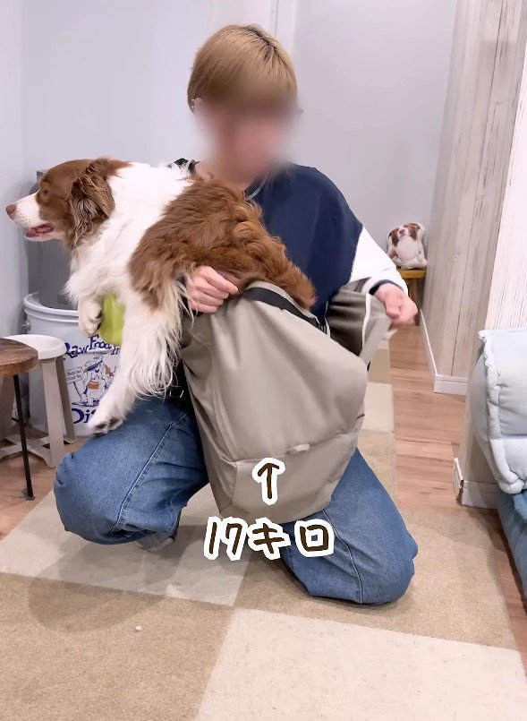 抱っこ紐に入れてみると…