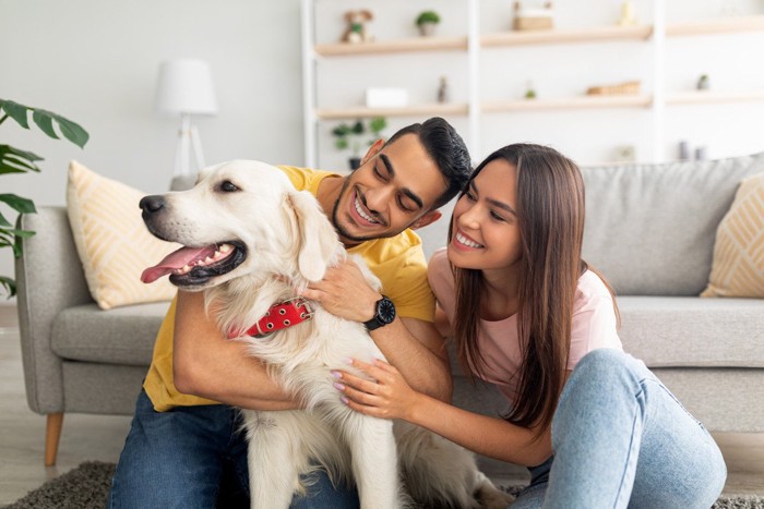 女性と4匹の犬