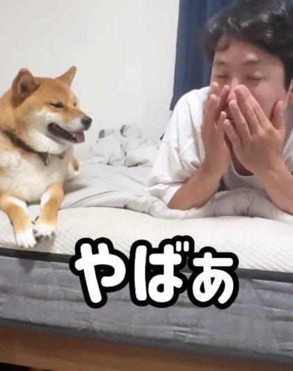 「やばー」