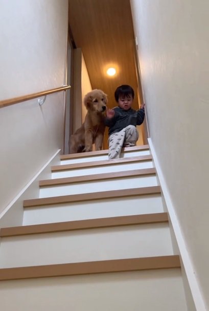 弟くんを見るころもちゃん