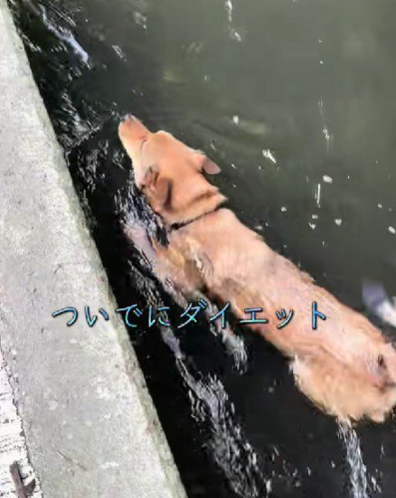 のびのびと遊びます
