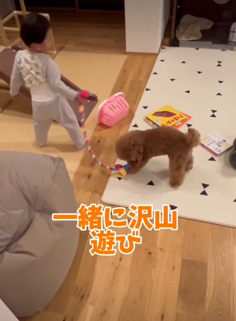 おもちゃで遊ぶ赤ちゃんと犬3