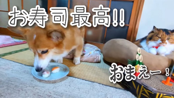 お寿司を食べるハルさん2