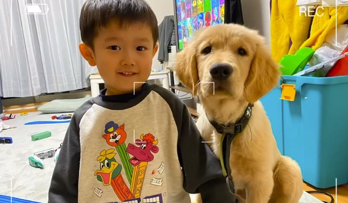 並ぶ幼い男の子とゴールデンレトリバーパピー
