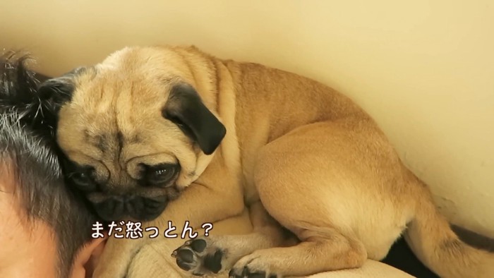 「まだ怒ってる？ごめんなさい…」