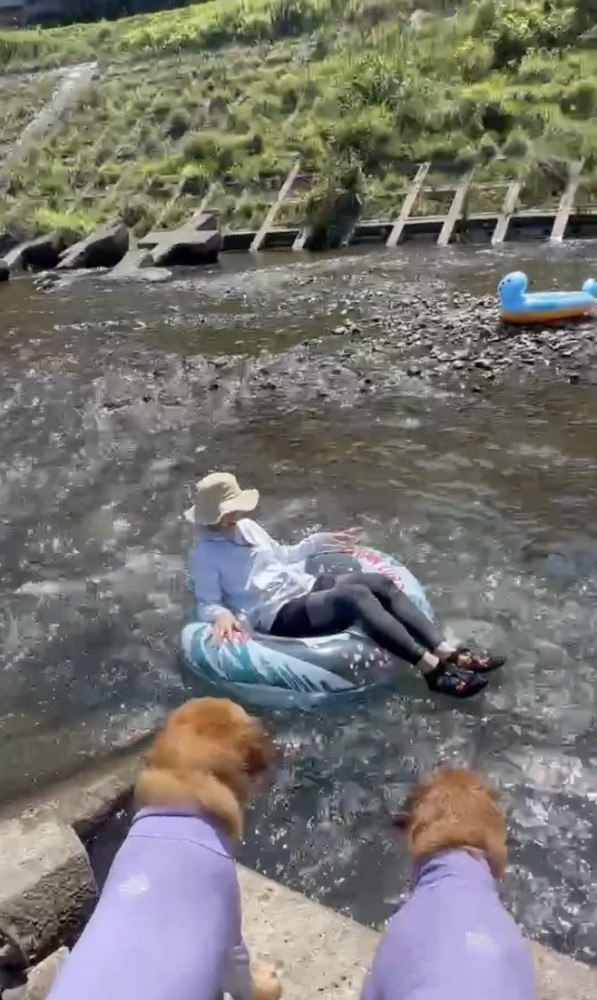 「ママが流されてる！？」