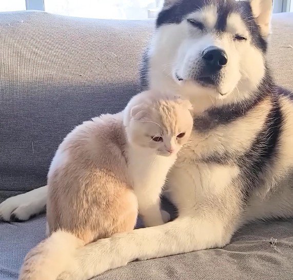 本当の親子みたい…♡