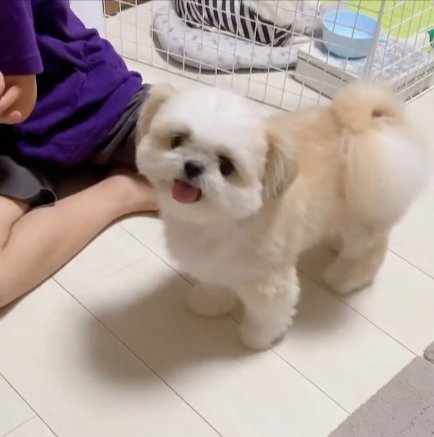 みかん