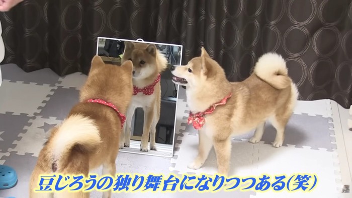 「今日もかっこいい…」