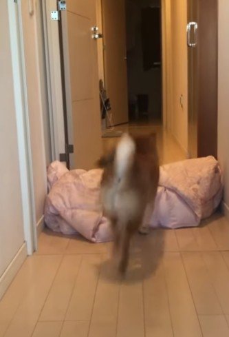 さっきまでいた人が消えた！