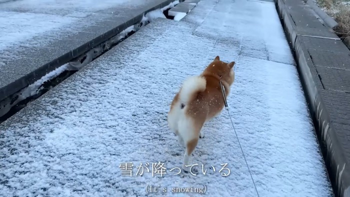 外は雪だけど…