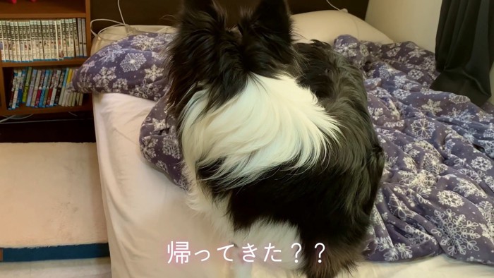 「もしかしてパパが帰ってきた!?」