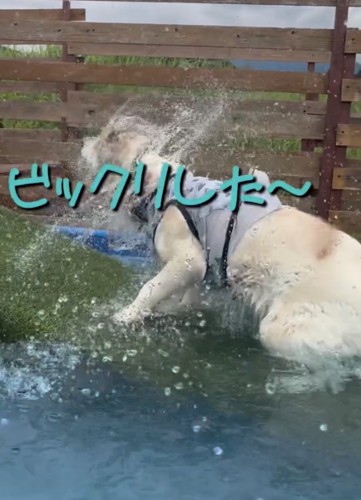 とりあえずブルブル
