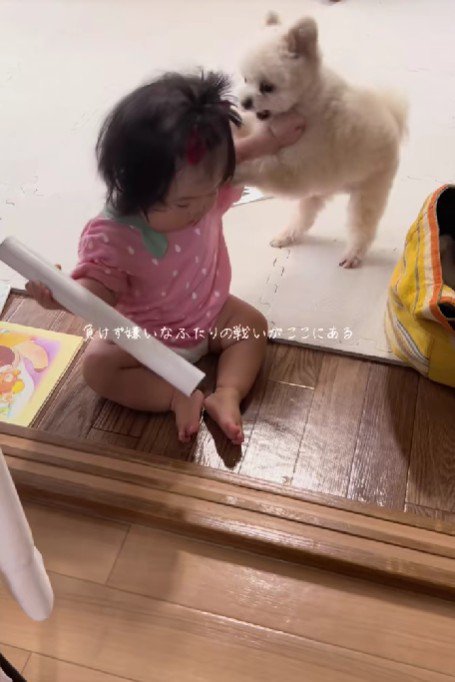 おもちゃの取り合いに