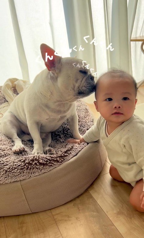 うっとりしながらクンクン…